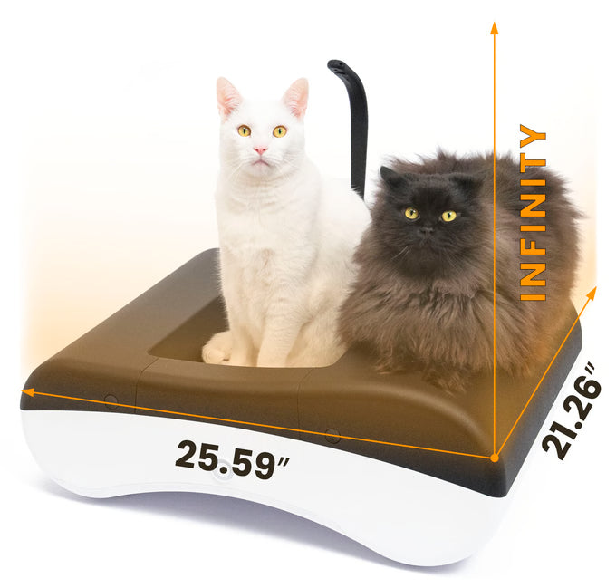 AI-powered litter-free self-cleaning cat toilet