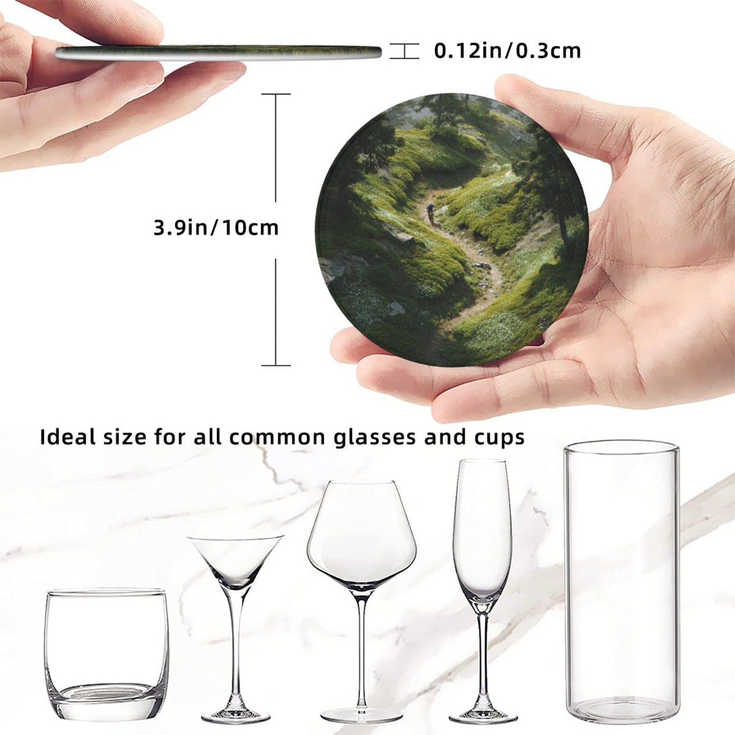 Nature Trail Absorbent Coaster Set
