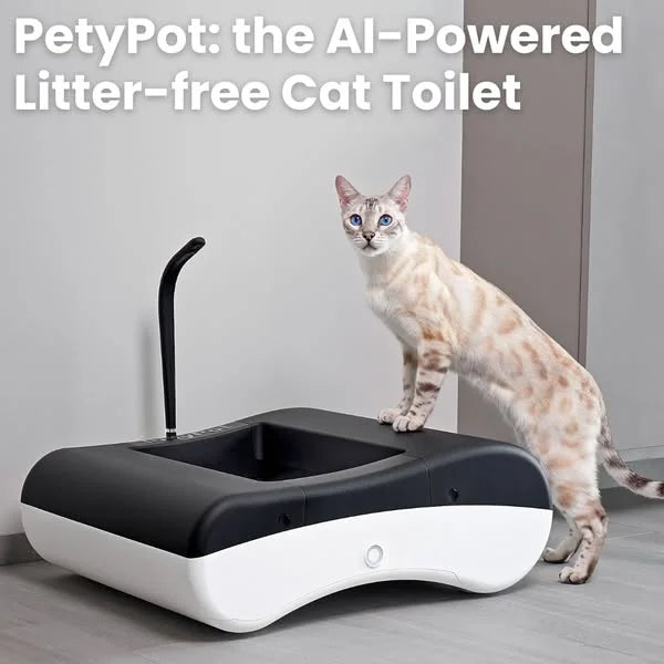 AI-powered litter-free self-cleaning cat toilet