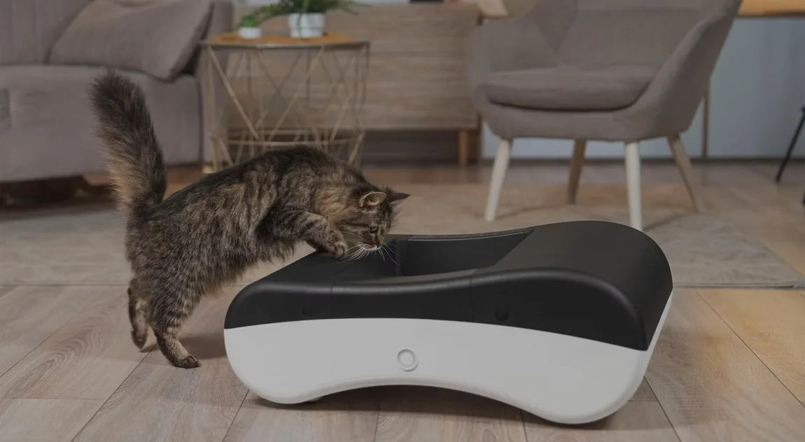 AI-powered litter-free self-cleaning cat toilet
