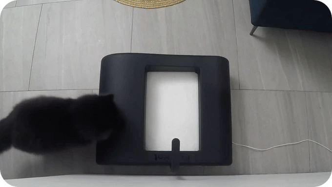 AI-powered litter-free self-cleaning cat toilet